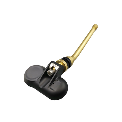 Système de contrôle de pression des pneus de TPMS rv